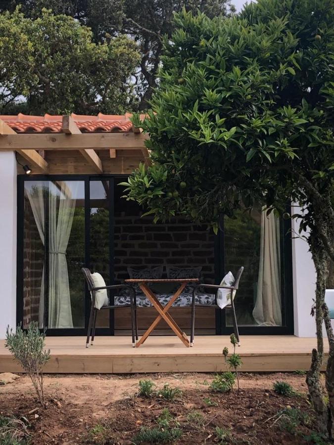 Seahousenature Porto Covo Dış mekan fotoğraf