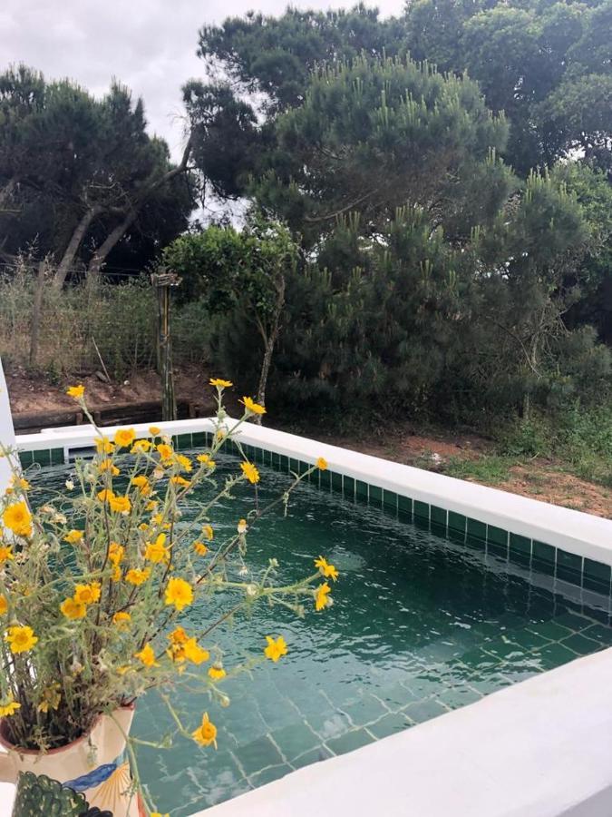 Seahousenature Porto Covo Dış mekan fotoğraf
